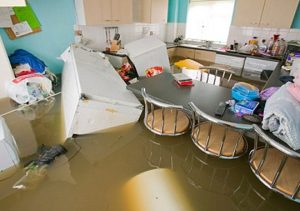 blocked drains damage